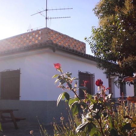 Casa Los Olivos Grávalos Exterior photo
